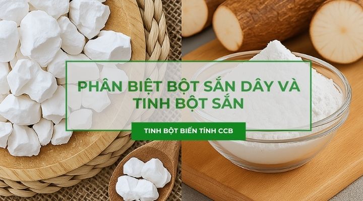 Bột sắn dây và tinh bột sắn có giống nhau không? Cách phân biệt
