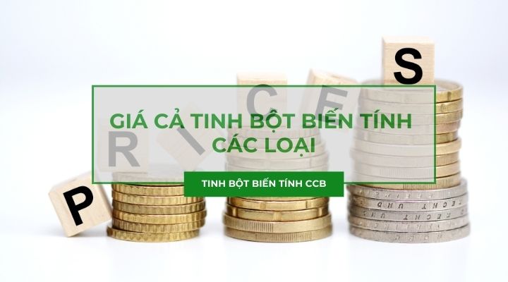 Giá Tinh bột biến tính mới nhất năm 2025