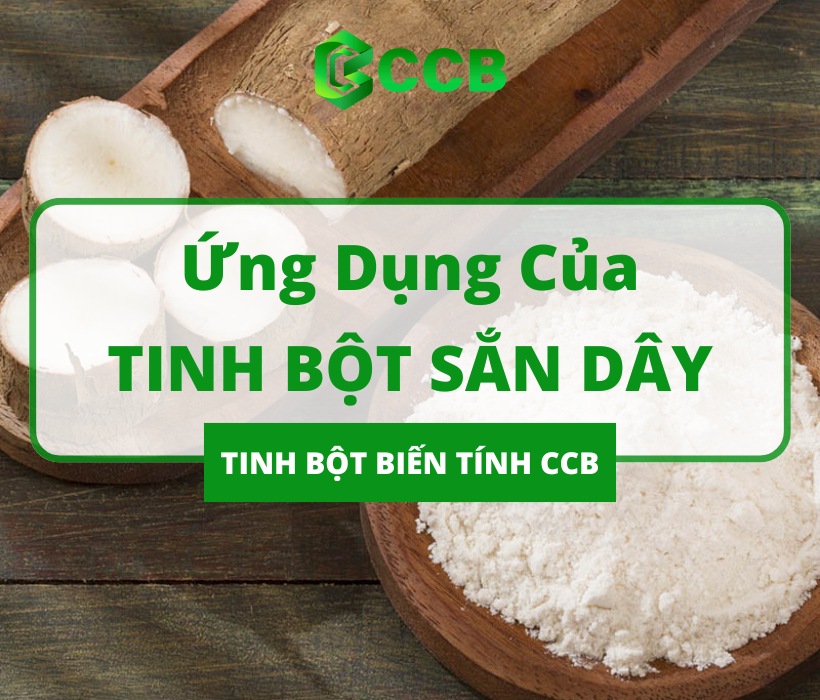 Khám Phá Ứng Dụng Đa Dạng Của Tinh Bột Sắn Dây Trong Cuộc Sống