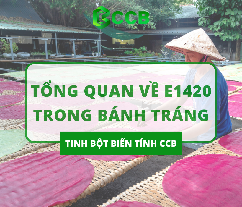 Tổng Quan Về E1420 Bánh Tráng – Tinh Bột Biến Tính Không Thể Thiếu Trong Sản Xuất