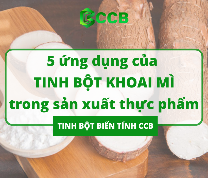 Tổng Quan Về Tinh Bột Khoai Mì. Top 5 Ứng Dụng Trong Sản Xuất Thực Phẩm