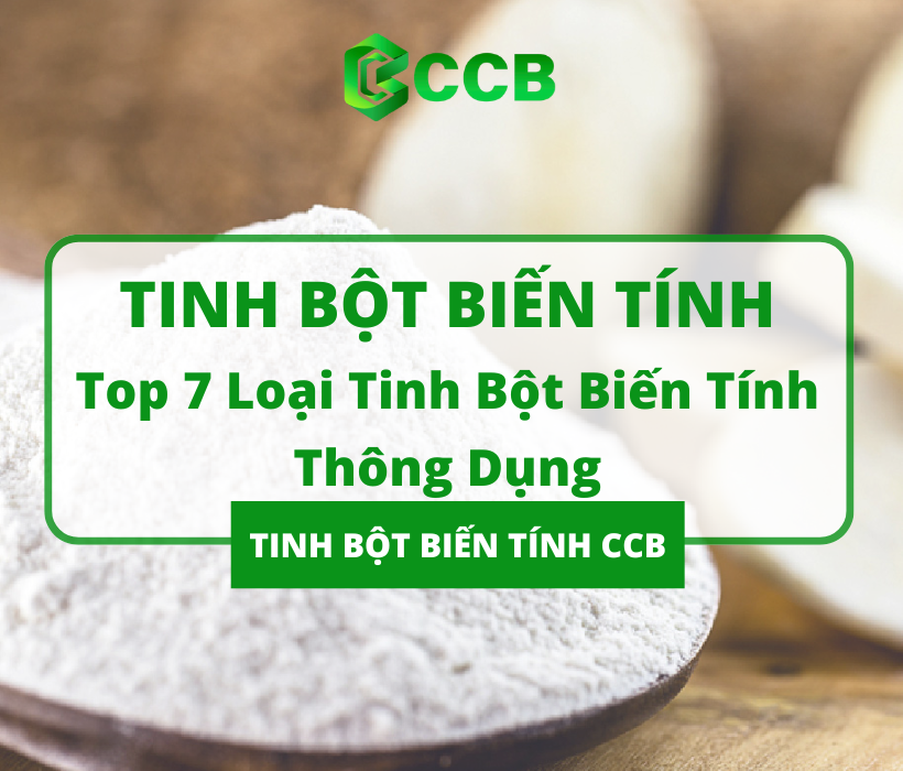 Top 7 Tinh Bột Biến Tính Trong Sản Xuất