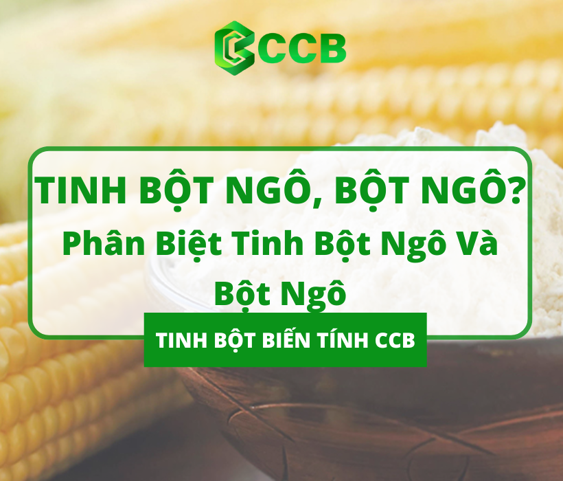 Tinh Bột Ngô, Bột Ngô Là Gì? Phân Biệt Bột Ngô Và Tinh Bột Ngô