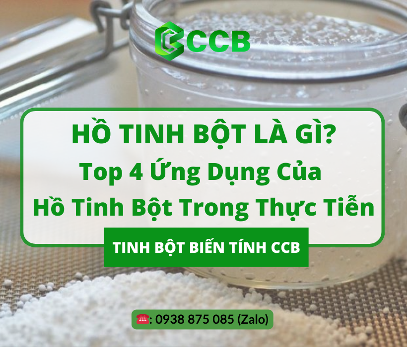 Hồ Tinh Bột Là Gì? Top 4 Ứng Dụng Của Hồ Tinh Bột Trong Thực Tiễn