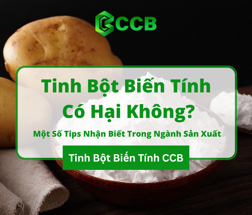 Tinh Bột Biến Tính Có Hại Không? Một Số Tips Nhận Biết Trong Ngành Sản Xuất