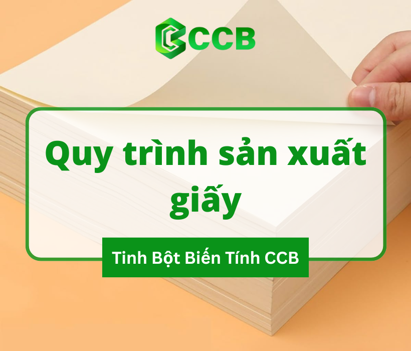Ứng Dụng Tinh Bột Biến Tính Trong Sản Xuất Giấy Công Nghiệp
