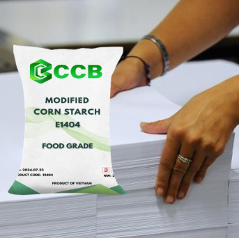 tinh-bot-bien-tinh-trong-san-xuat-giay