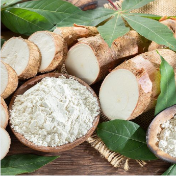 tong-quan-ve-tinh-bot-san