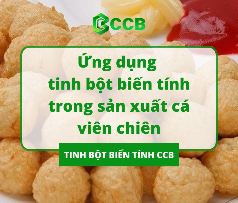 Ứng Dụng Tinh Bột Biến Tính Trong Sản Xuất Cá Viên Chiên