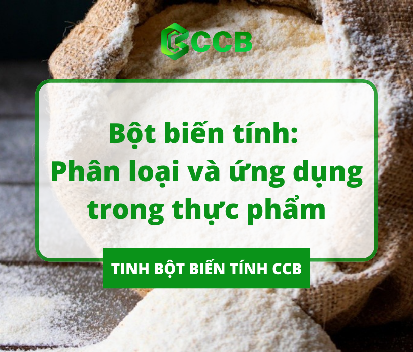 Bột Biến Tính: Phân Loại Và Ứng Dụng Trong Thực Phẩm