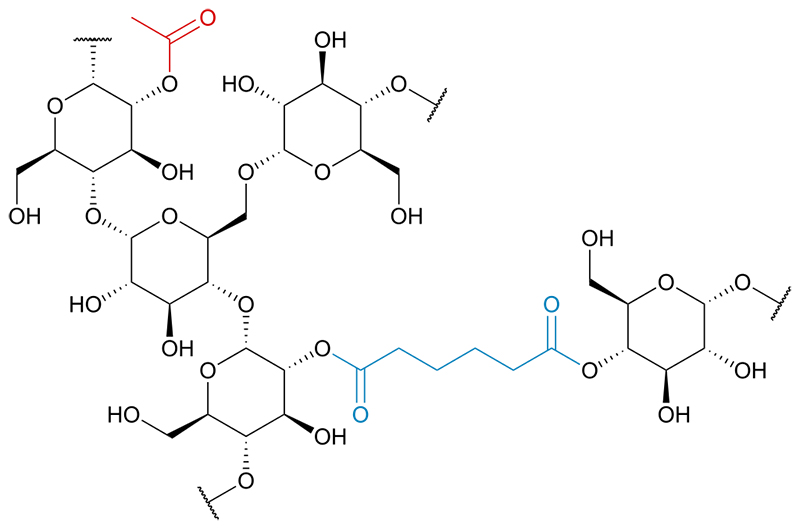 cau-truc-hoa-hoc-tinh-bot-bien-tinh-e1422