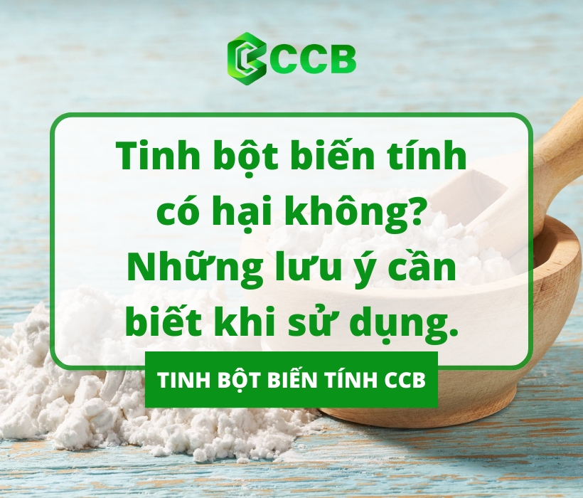 Tinh Bột Biến Tính Có Hại Không? Những Lưu Ý Cần Biết Khi Sử Dụng