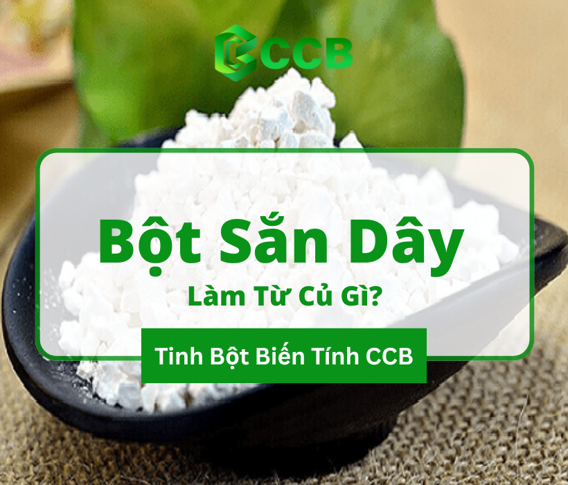 Bột Sắn Dây Làm Từ Củ Gì? Những Công Dụng Tuyệt Vời Cho Sức Khỏe