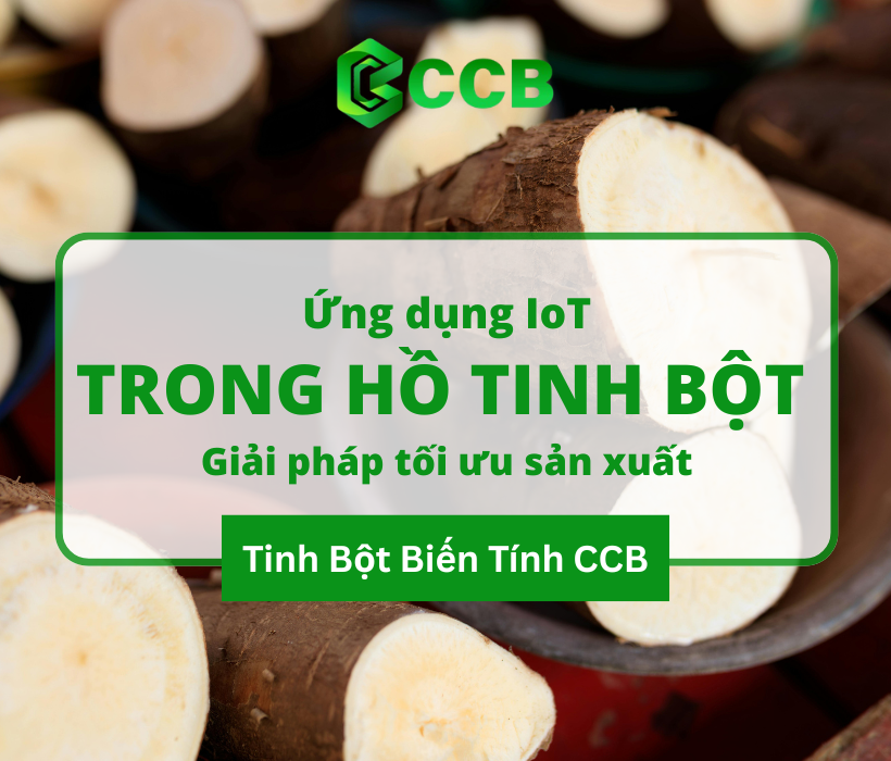 Ứng Dụng IoT Trong Sản Xuất Hồ Tinh Bột: Giải Pháp Công Nghiệp 4.0 Tối Ưu