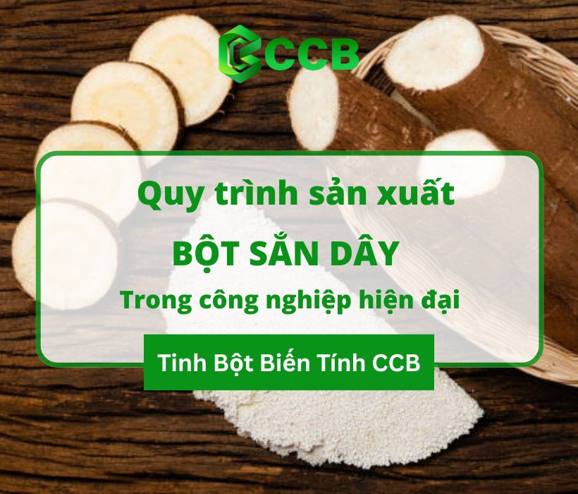 Tìm Hiểu Quy Trình Sản Xuất Bột Sắn Dây Trong Công Nghiệp Hiện Đại